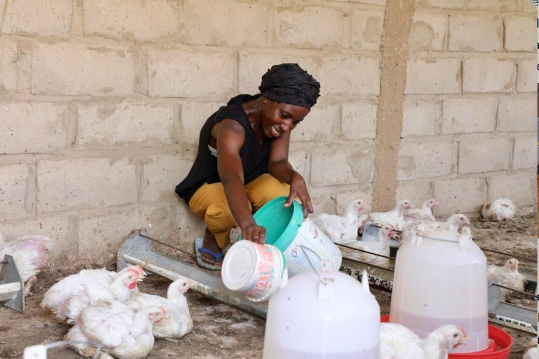 Capture d’écran_12-2-2026_16319_grok.com