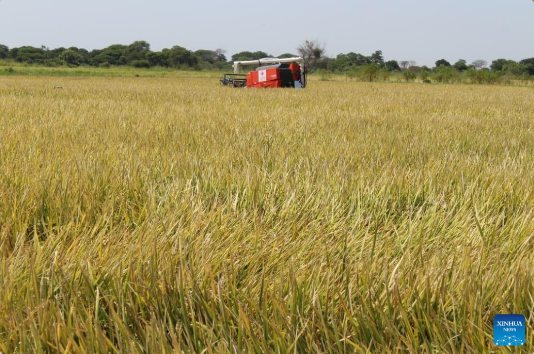 Capture d’écran_12-2-2026_16537_grok.com